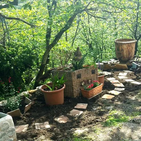 펜션 Agua De Estrellas