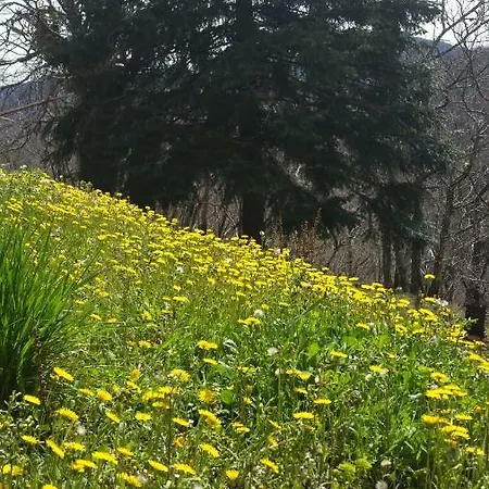 Agua De Estrellas * Saint-Gervais-sur-Mare