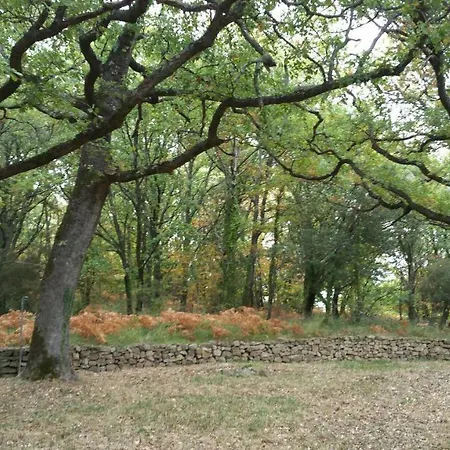 Agua De Estrellas Saint-Gervais-sur-Mare