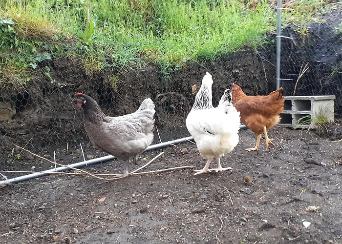 Agua De Estrellas * 라말루-레-뱅