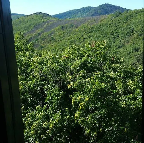 Agua De Estrellas * 라말루-레-뱅