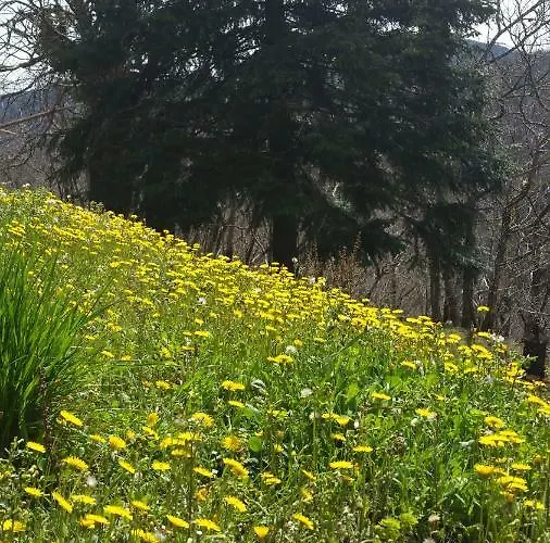 Agua De Estrellas * 라말루-레-뱅