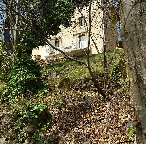 Agua De Estrellas * 라말루-레-뱅